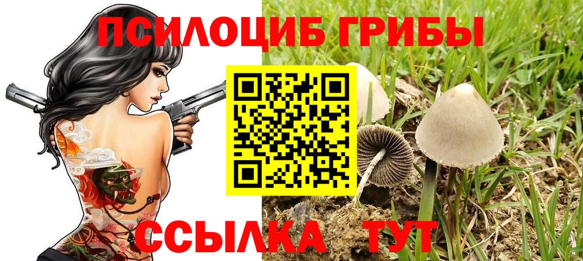 Ливны  Галлюциногенные грибы Psilocybine cubensis  Вход с VPN  Галлюциногенные грибы MAGIC MUSHROOMS 
