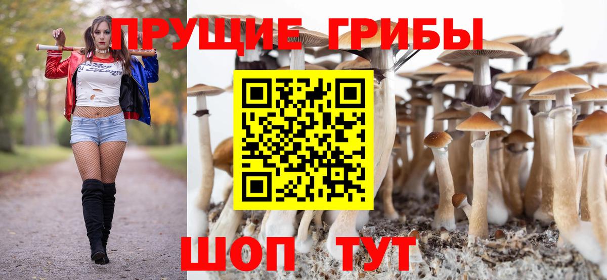Галлюциногенные грибы MAGIC MUSHROOMS Ливны